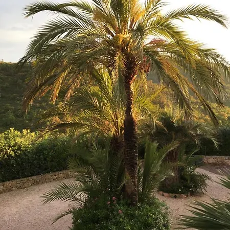 Apartment Loasis-les Issambres *